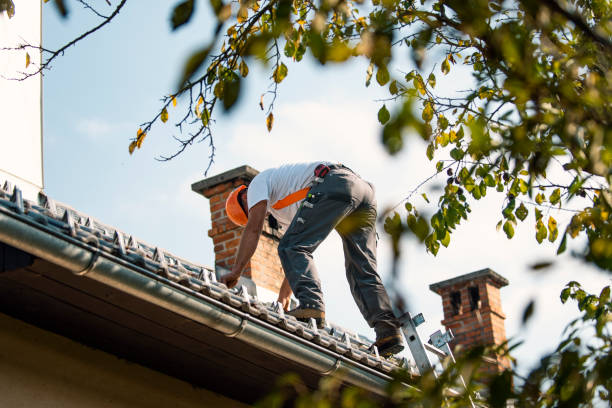 Best Roof Leak Repair  in Columbia, IL